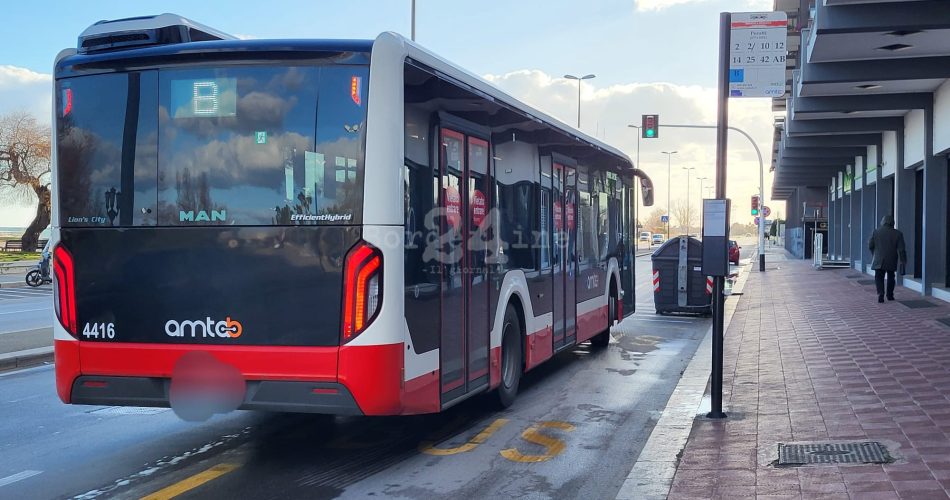 bus autobus amtab fermata