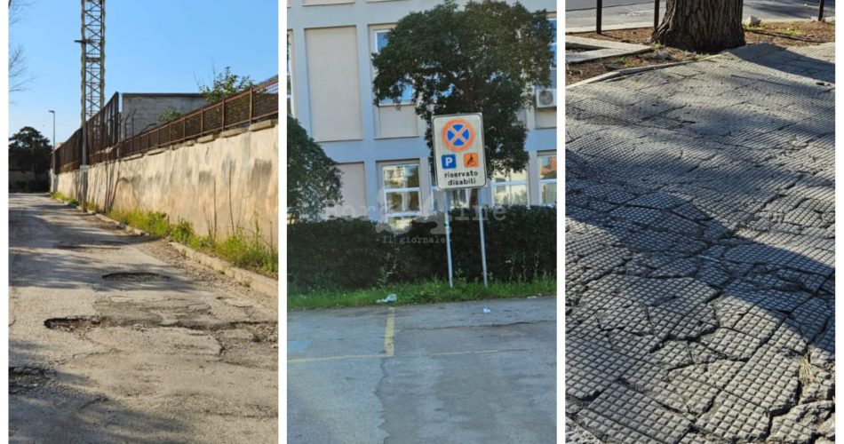 WhatsApp Image 2024-03-16 at 16.33.13