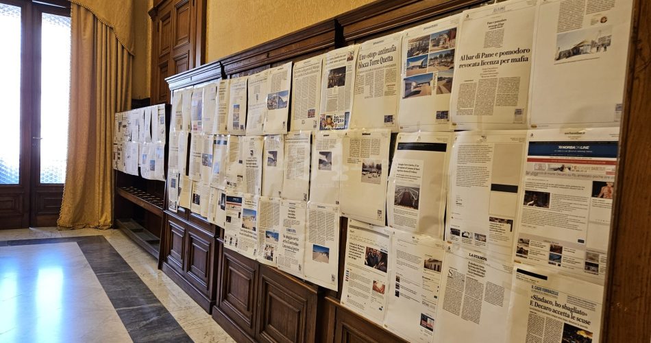 WhatsApp Image 2024-03-20 at 14.07.36