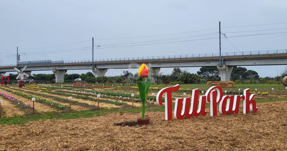 tulipark parco tulipark parco