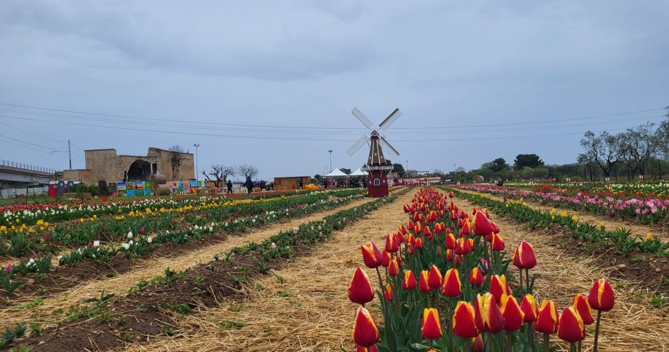 tulipark