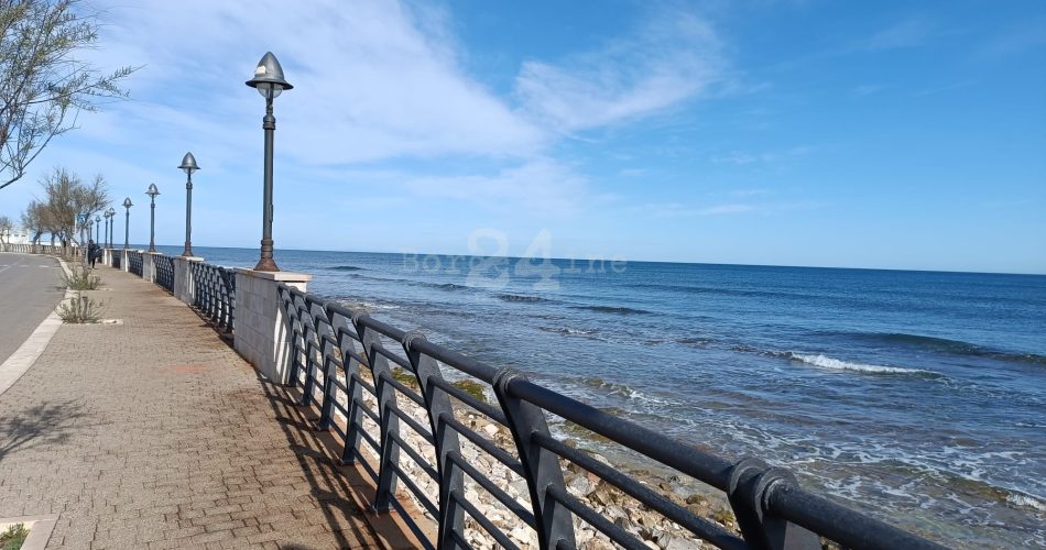 WhatsApp Image 2024-03-29 at 15.40.03