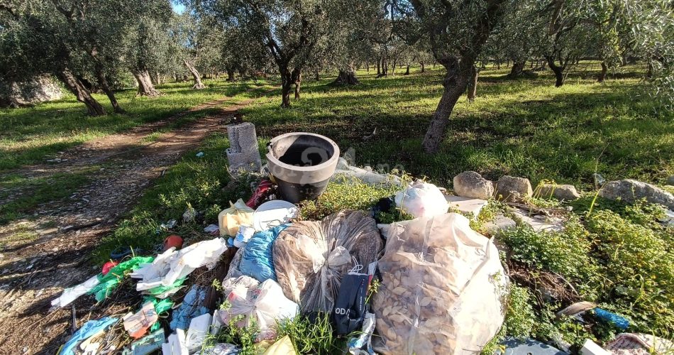 WhatsApp Image 2024-03-29 at 15.40.07 (1)