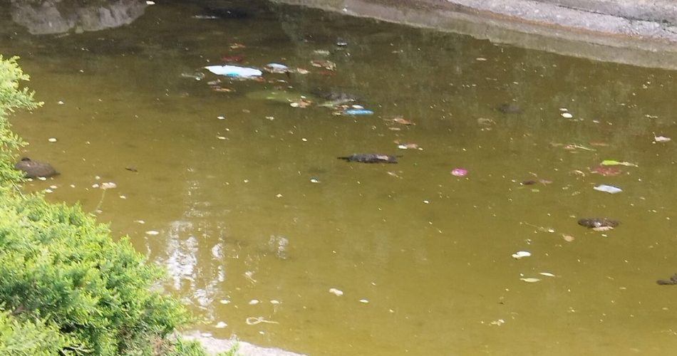 degrado largo due giugno