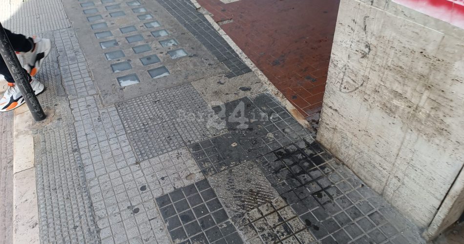 WhatsApp Image 2024-04-12 at 15.30.41 (1)