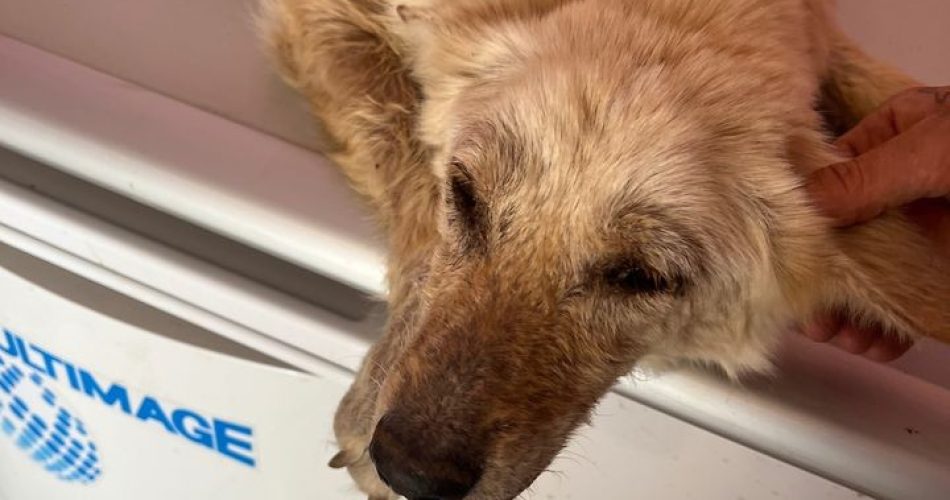 WhatsApp Image 2024-04-12 at 15.51.41