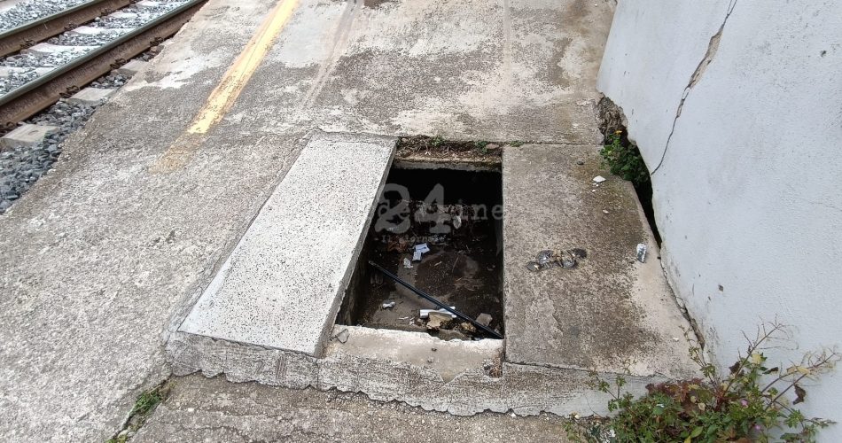 WhatsApp Image 2024-04-23 at 12.37.47