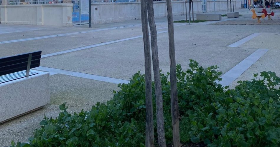 WhatsApp Image 2024-04-27 at 09.35.45