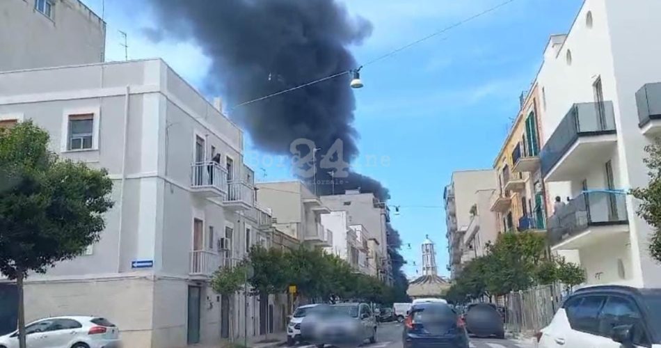 WhatsApp Image 2024-04-30 at 17.13.39