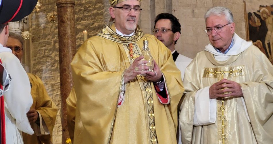 WhatsApp Image 2024-05-09 at 19.41.01