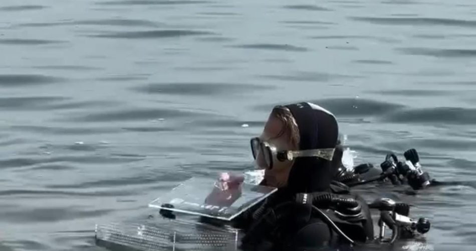 WhatsApp Image 2024-05-20 at 16.05.38