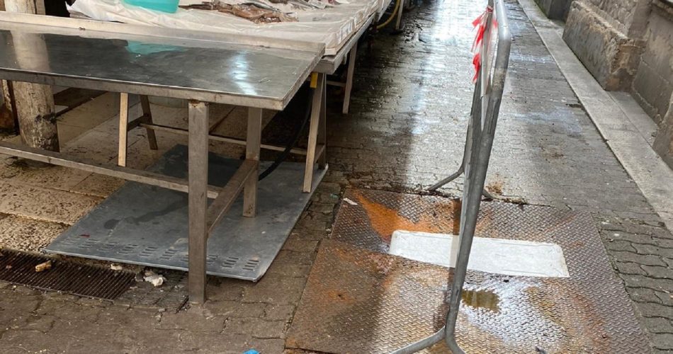 WhatsApp Image 2024-05-21 at 13.17.26