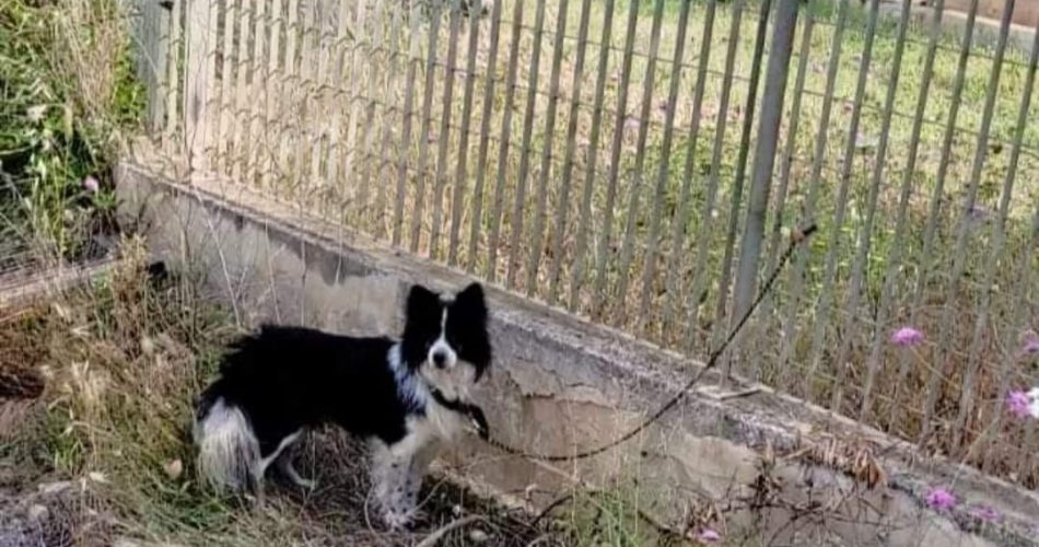 WhatsApp Image 2024-05-26 at 10.07.44