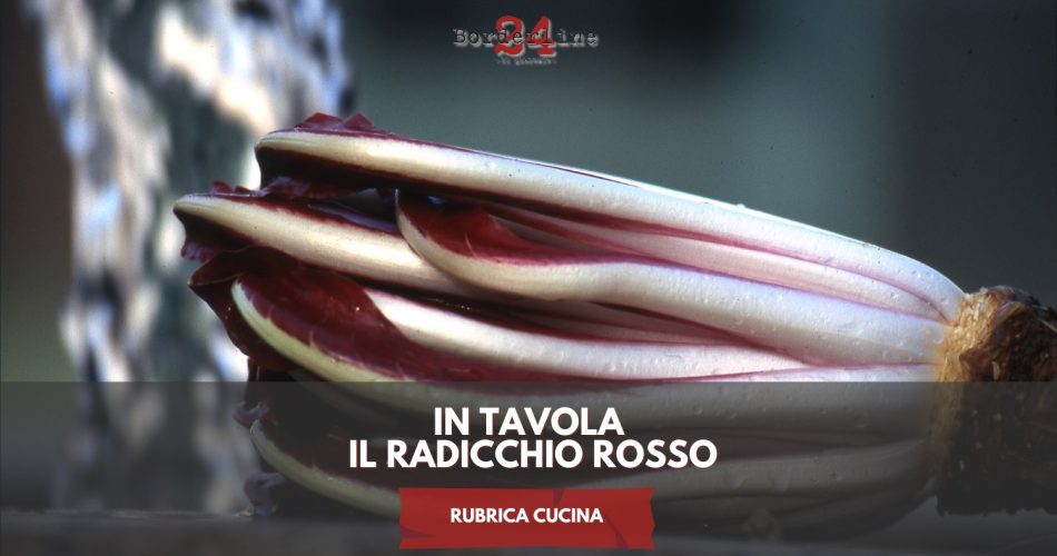 WhatsApp Image 2024-07-12 at 17.41.41