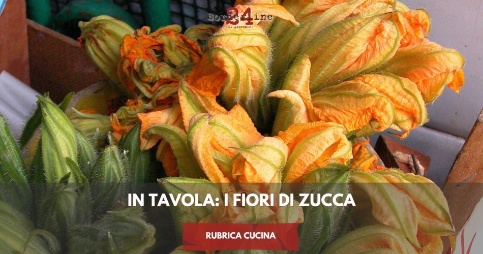 WhatsApp Image 2024-07-16 at 17.32.17 (1)