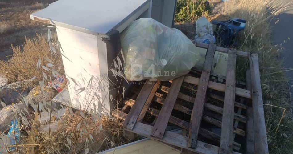 WhatsApp Image 2024-07-19 at 16.33.28 (1)