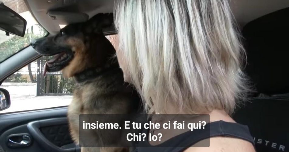 WhatsApp Image 2024-07-20 at 11.08.57