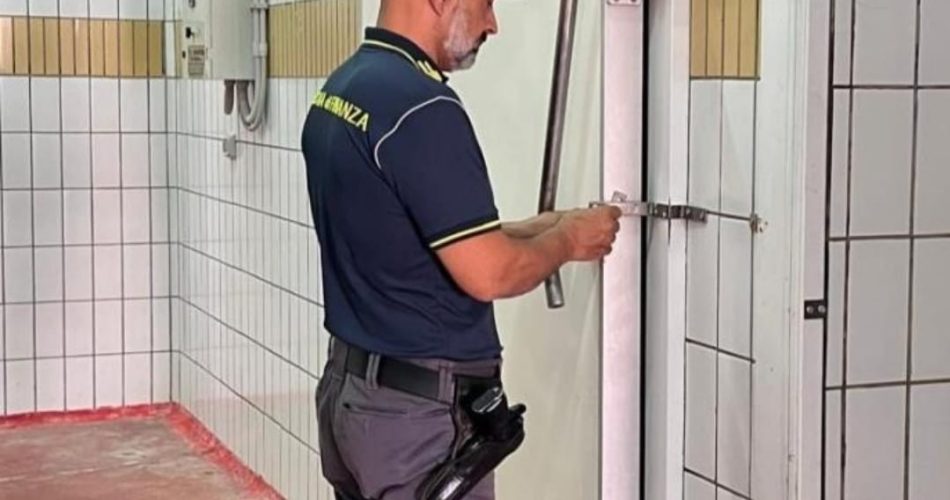 gdf lecce cavalli