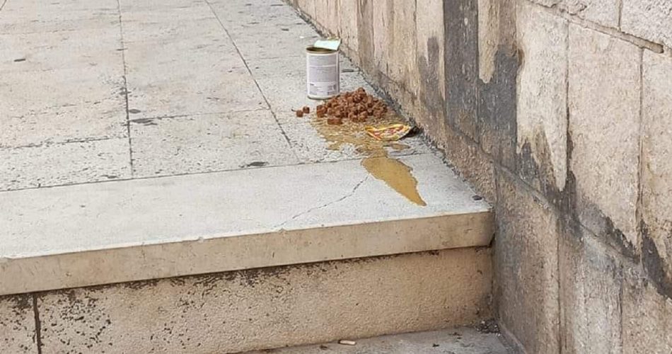 WhatsApp Image 2024-08-01 at 18.32.13