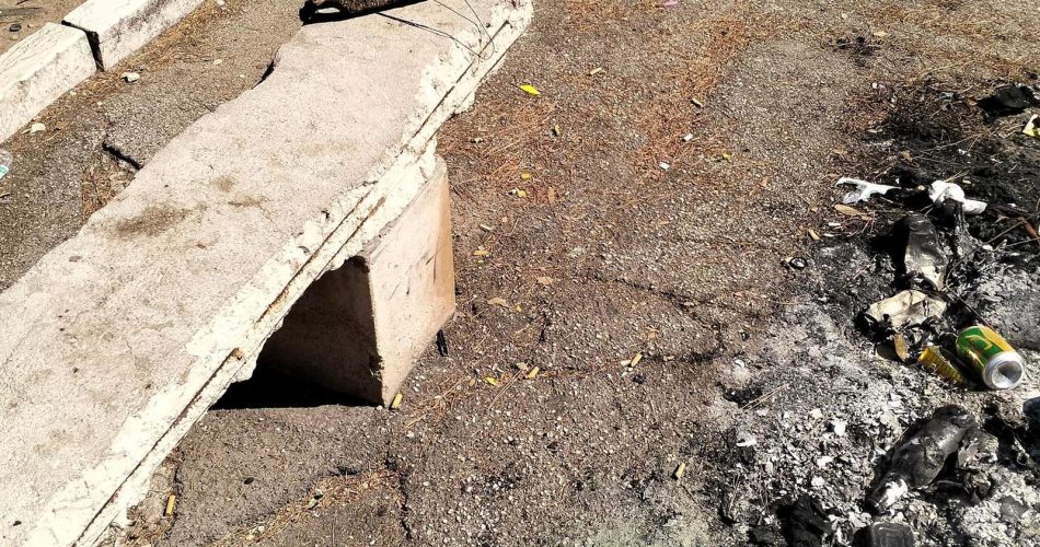 WhatsApp Image 2024-08-06 at 08.24.35 (1)