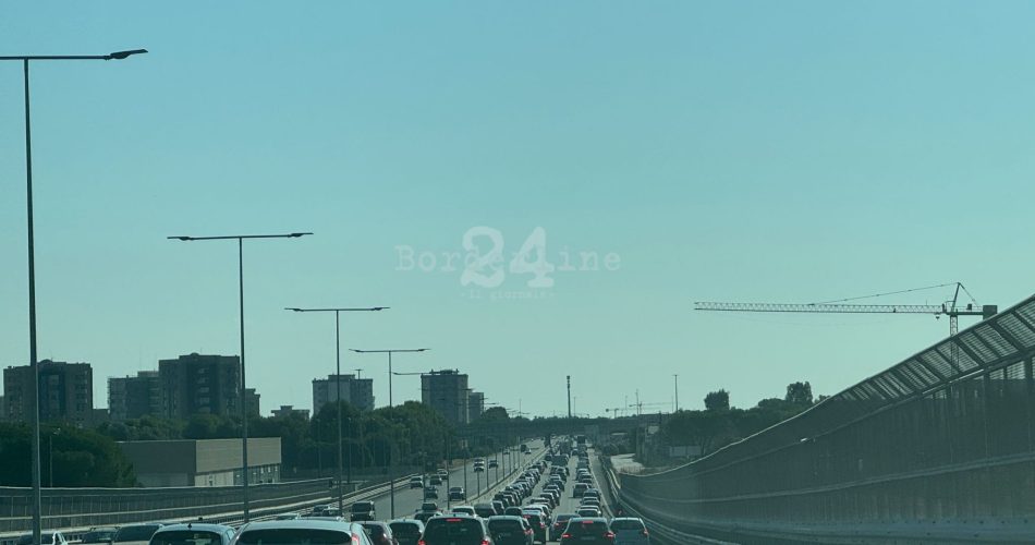 WhatsApp Image 2024-08-10 at 09.04.27