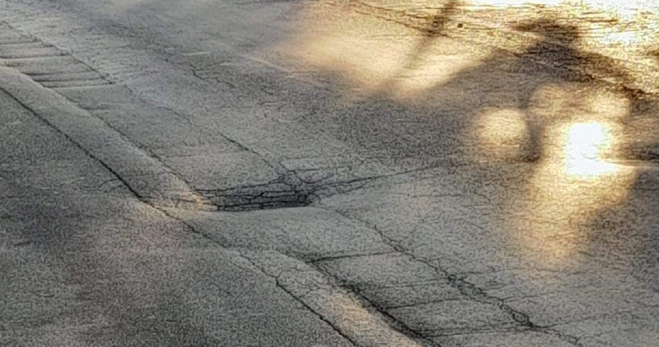 WhatsApp Image 2024-08-13 at 17.52.28