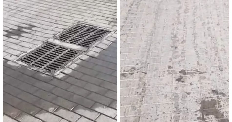 WhatsApp Image 2024-08-17 at 15.05.11