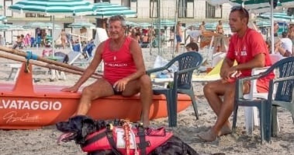 foto sportello dei diritti