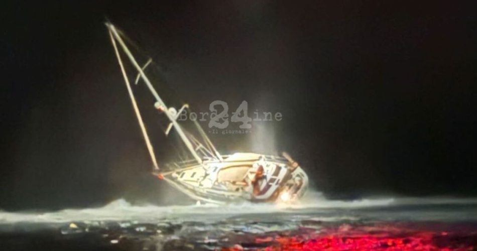 WhatsApp Image 2024-08-28 at 09.42.45