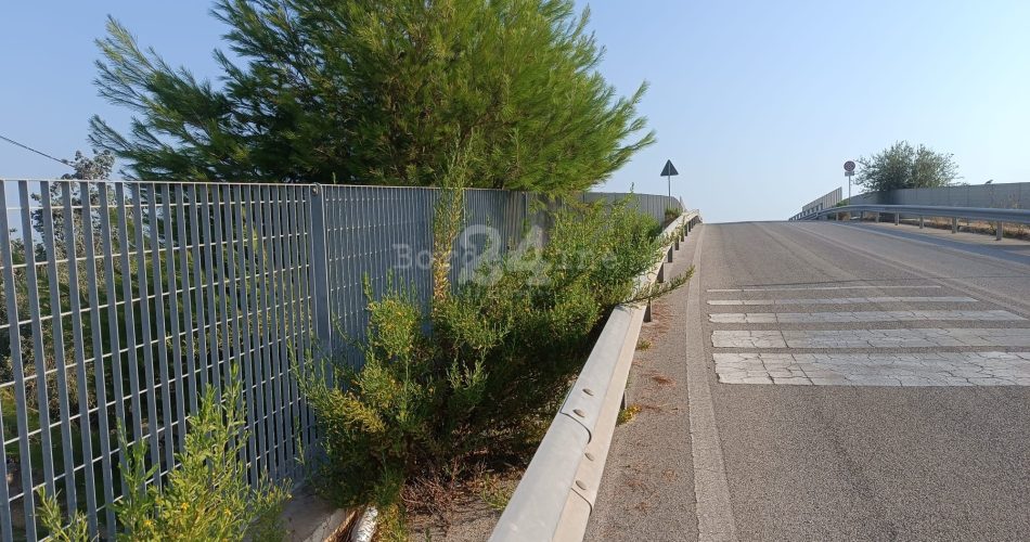 ponte Palese strada aeroporto