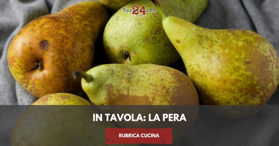 WhatsApp Image 2024-09-25 at 15.55.55 (6)