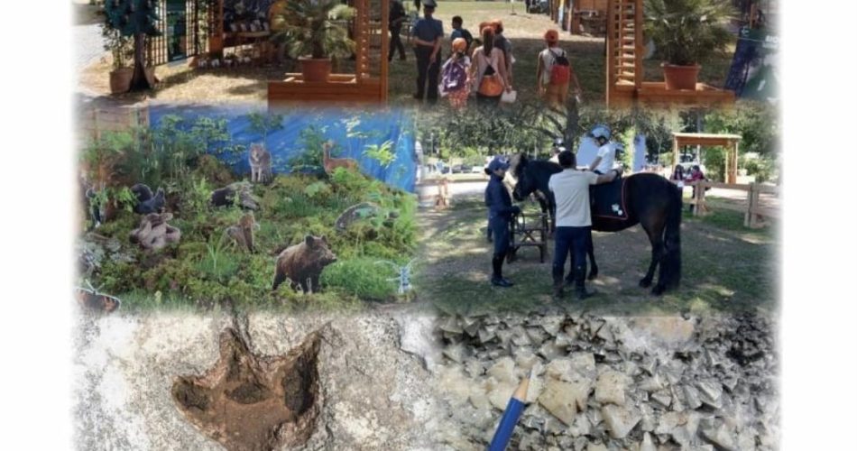 WhatsApp Image 2024-10-03 at 11.56.47