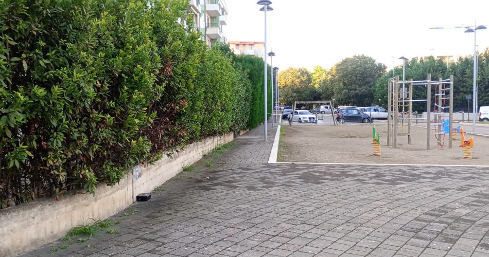 WhatsApp Image 2024-10-09 at 19.45.10 (3)