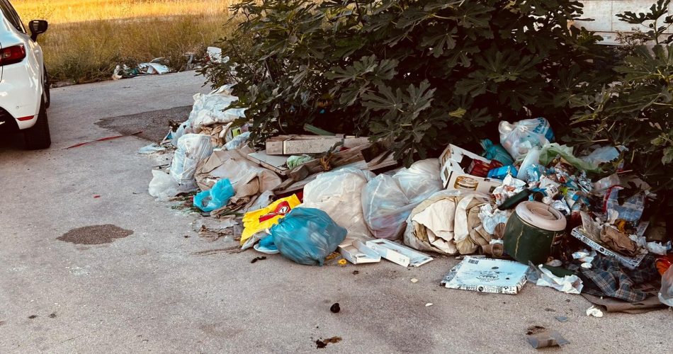 WhatsApp Image 2024-10-14 at 18.58.15