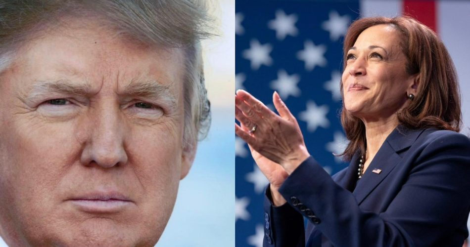 WhatsApp Image 2024-11-04 at 11.08.19