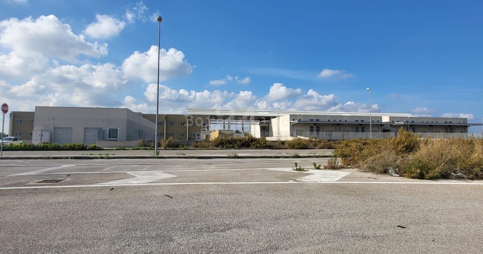 mercato agricolo mungivacca maab