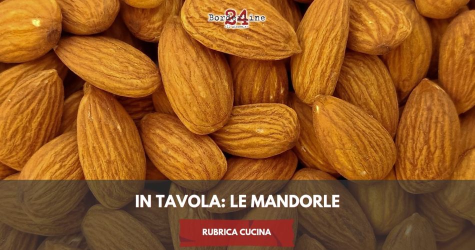 WhatsApp Image 2024-11-13 at 11.08.39