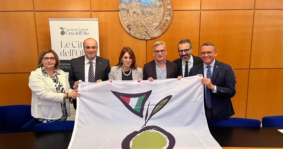 WhatsApp Image 2024-11-21 at 16.31.16