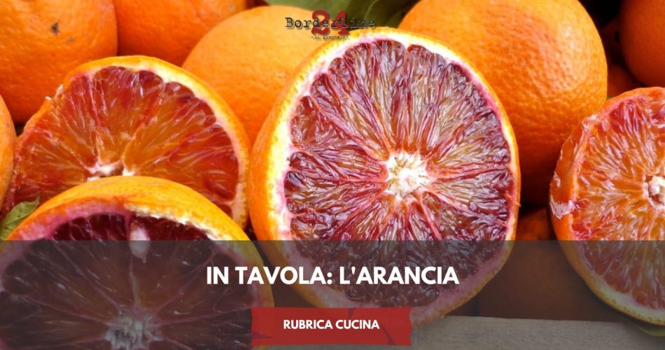 WhatsApp Image 2024-11-22 at 16.31.40 (1)