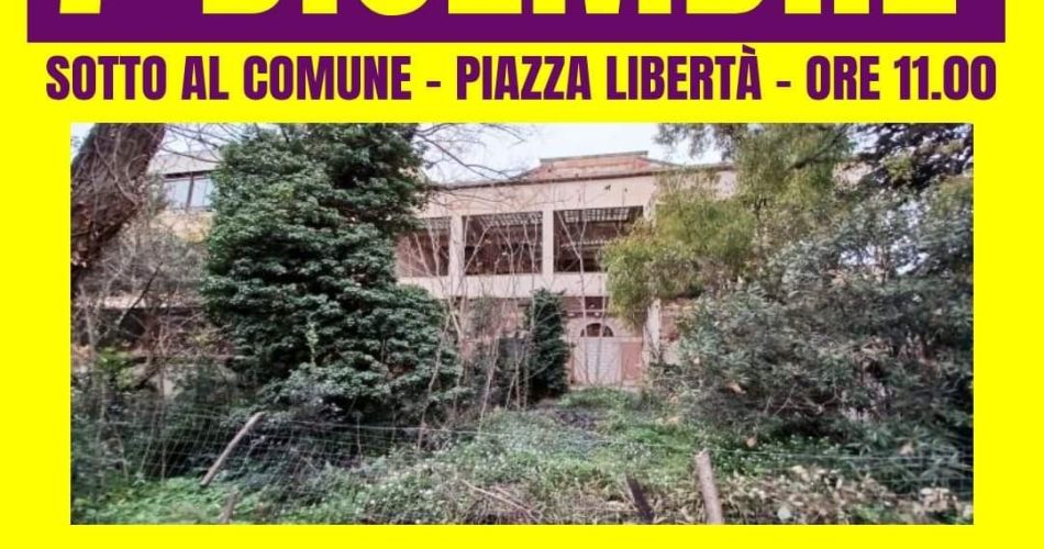 WhatsApp Image 2024-12-04 at 15.12.59