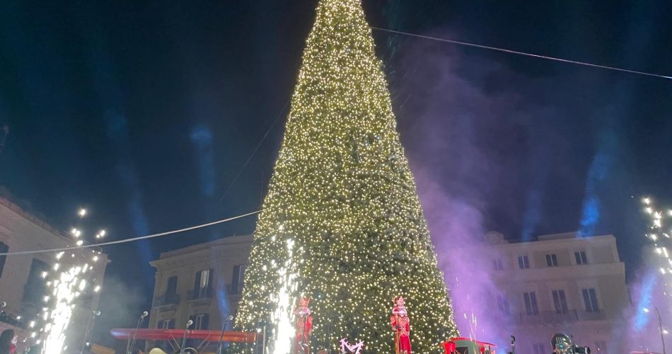 albero natale bari