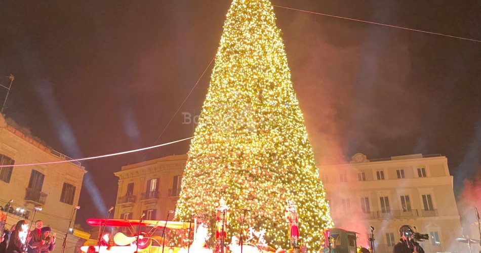 albero natale bari