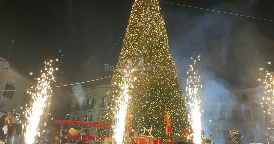 albero natale bari