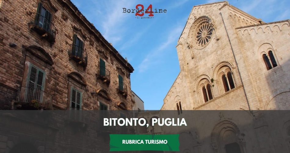 WhatsApp Image 2024-12-12 at 13.09.37 (3)