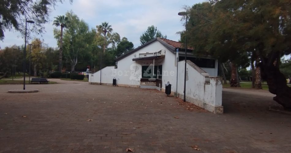 WhatsApp Image 2024-12-19 at 09.54.21