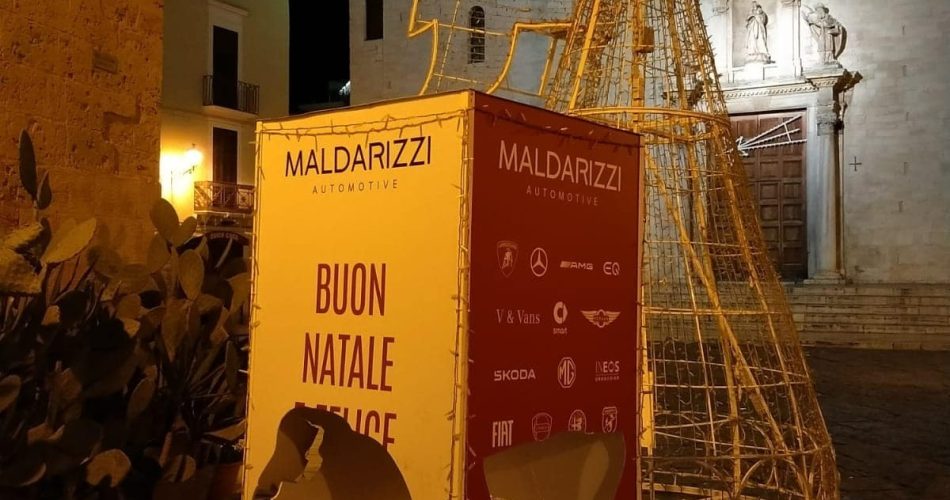 WhatsApp Image 2024-12-19 at 19.36.52