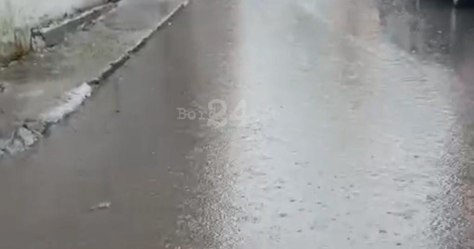 WhatsApp Image 2024-12-21 at 10.32.50