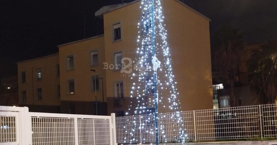 WhatsApp Image 2024-12-21 at 10.37.33 (1)