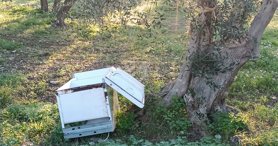 rifiuti campagna palese
