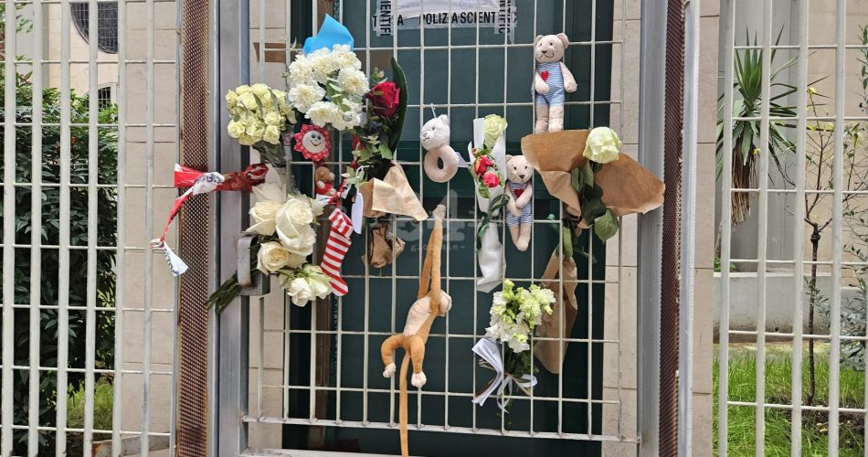 WhatsApp Image 2025-01-07 at 09.12.05